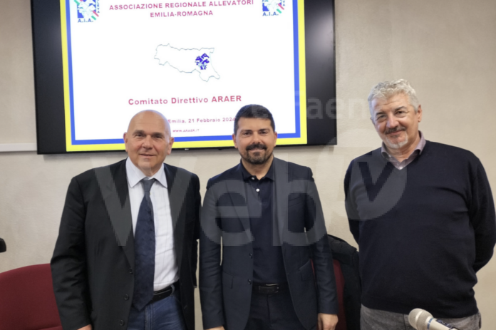 Screenshot 2024-03-02 alle 12.20.27