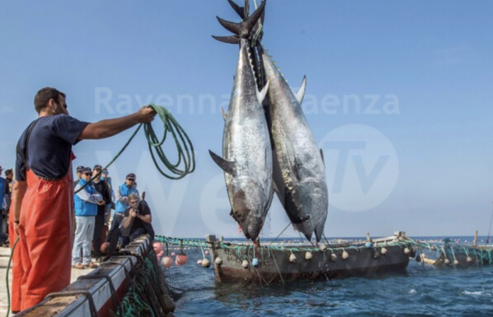 Screenshot 2024-03-12 alle 15.38.23