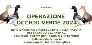 Lettera di una cittadina in merito alle giornate “ecologiche” promosse dal Comune di Ravenna e da altre associazioni venatorie