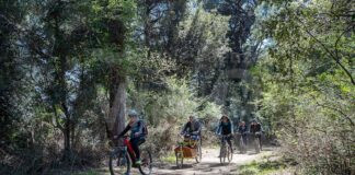 Cibi in bici: pedalando tra natura e gastronomia. A Pasquetta tutti in bicicletta con Trail Romagna