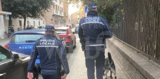 Polizia locale: Controlli nel centro cittadino un arresto, denunce e segnalazioni per consumo di sostanze stupefacenti