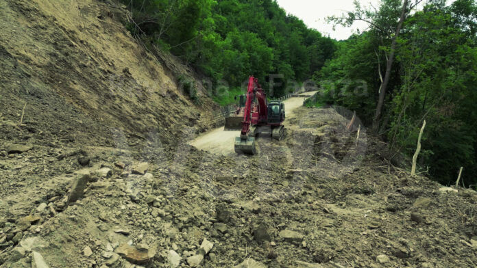 il_dolore_e_la_forza_della_cooperazione_2