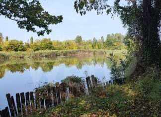 Una passeggiata sensoriale al parco del loto di Lugo per la Giornata internazionale delle foreste