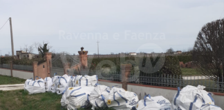 Futuro per Alfonsine: “Grave situazione di degrado causata dai rifiuti”