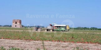 Legacoop Romagna: “Torraccia, per il recupero serve un progetto di tutta la comunità”