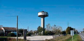 Torre di avvistamento nel Centro Visite di Cervia, approvato il progetto definitivo di fattibilità