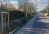 Nuove alberature in via Quarantola grazie alla collaborazione tra Comune e Diemme Filtration