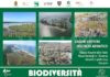 “Lagune costiere dell’Alto Adriatico”, presentazione del libro tecnico-divulgativo del reparto Carabinieri Biodiversità di Punta Marina