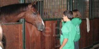 Torna Rionilandia: un pomeriggio per le famiglie al Centro Civico