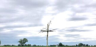 Nelle campagne russiane si rivive il fascino della tradizione