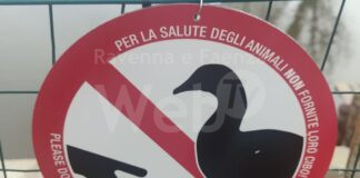 Ancisi (LpRa):Volontari autorizzati avranno cura degli animali ospiti del Parco Teodorico