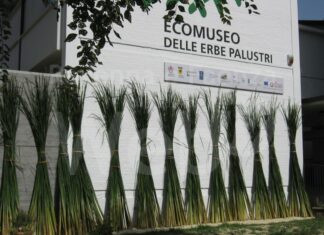 “La solidarietà delle piante selvatiche” sabato tra Santerno e l’Ecomuseo