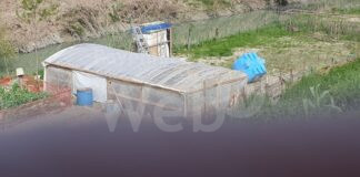 Ancisi (Lista per Ravenna): “Caos indecente sul Ronco: serre e cisterne di plastica”