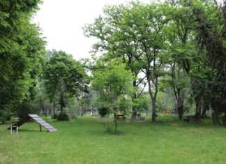 Conselice: un questionario aperto a tutti per ritrovare la socialità al parco Bourgoin-Jallieu