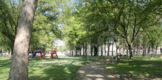 Sabato 6 aprile al Parco del Tondo di Lugo la prima edizione di Sport Training Competition