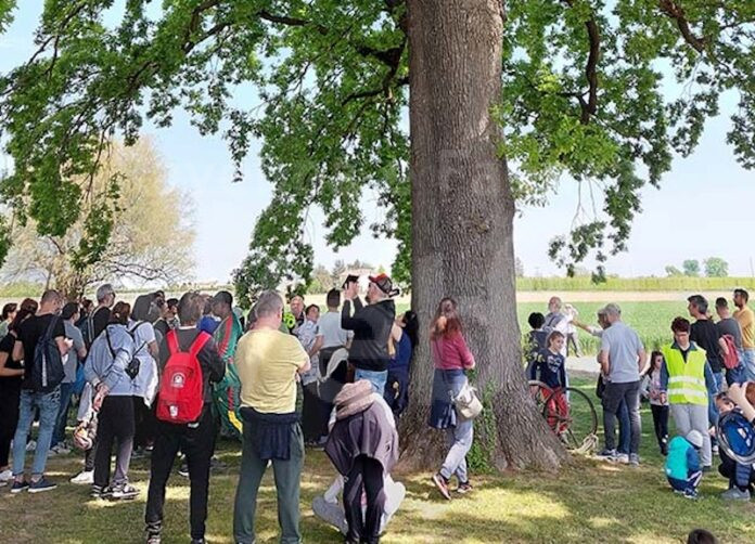 Inalberiamoci 2023 - 1