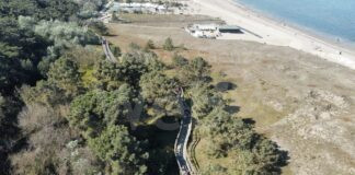 “Parco Marittimo Walk & Run”, una domenica insieme per scoprire il nuovo volto del litorale