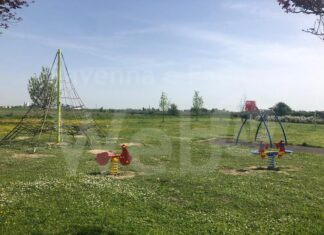 Conselice: al parco Vivaldi 120 studenti alla ricerca del proprio albero in affido