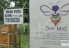 Bee Kind: al Museo Malmerendi arriva anche il bio hotel per ospitare le api del monitoraggio ambientale