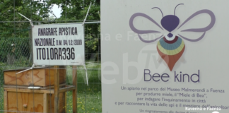 Bee Kind: al Museo Malmerendi arriva anche il bio hotel per ospitare le api del monitoraggio ambientale