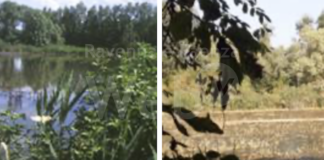 Ancisi (LpRa): “Ex zuccherificio di Mezzano, indagine giudiziaria. Bacini protetti colpevolmente disseccati “