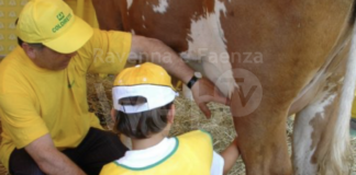 Autismo: Coldiretti, 9mila fattorie sociali per aiutare famiglie