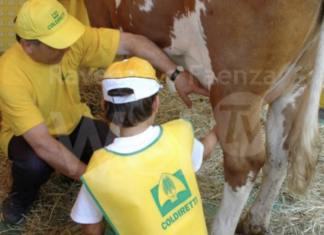 Autismo: Coldiretti, 9mila fattorie sociali per aiutare famiglie