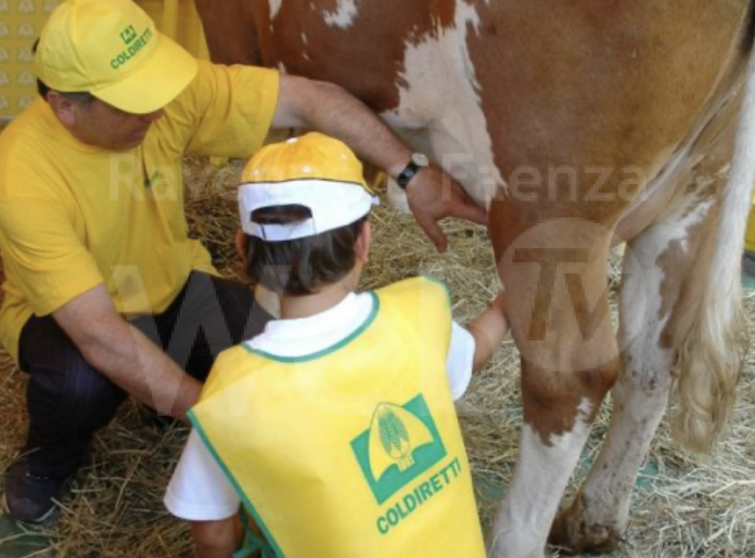 Screenshot 2024-04-02 alle 14.52.55