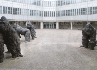 Referendum confermativo del 22 e 23 marzo: informazioni sul voto per gli elettori del comune di Ravenna