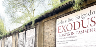 Le riproduzioni delle fotografie di Sebastião Salgado nella galleria a cielo aperto in via Zirardini