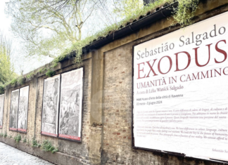 Le riproduzioni delle fotografie di Sebastião Salgado nella galleria a cielo aperto in via Zirardini