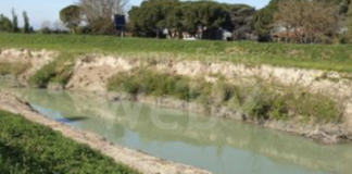 Ancisi (LpRa): Sul fiume Ronco disboscato restano pericolose cataste di tronchi. sono apparse numerose frane negli argini