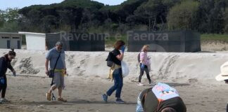 Una cinquantina di volontari ha ripulito l’arenile di Tagliata da plastica e rifiuti