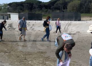 Una cinquantina di volontari ha ripulito l’arenile di Tagliata da plastica e rifiuti