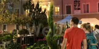 Ravenna in fiore: sboccia la primavera in centro storico