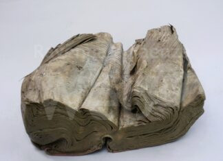 “I libri e il fango nella Romagna allagata”, inaugura nella biblioteca Trisi la mostra fotografica di Giovanni Zaffagnini