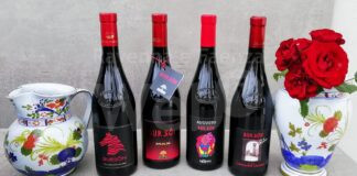 Una giornata sui vini del territorio con il Consorzio Il Bagnacavallo