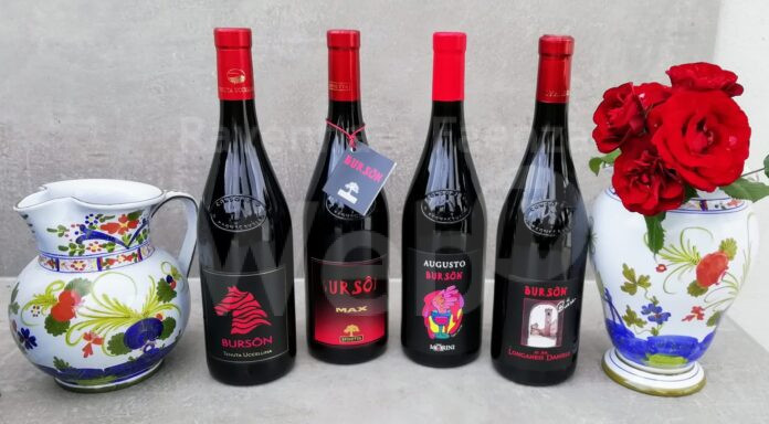 burson bagnacavallo I