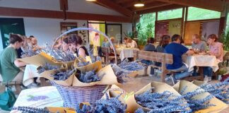 Tra fioriture e profumi inebrianti: gli eventi di maggio al Giardino delle Erbe