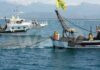 Giornata mare: Coldiretti, valorizzare pescatori “sentinelle”