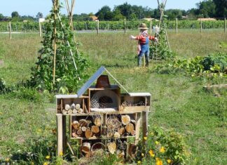 Permacultura: domani una conferenza e la presentazione di un corso a Bagnacavallo
