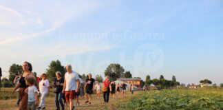 OrtInsieme: a Russi si va a caccia di erbe spontanee