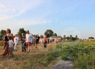 OrtInsieme: a Russi si va a caccia di erbe spontanee