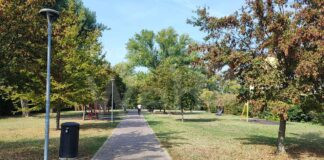 Lugo: Oggi, chiuso il parco del Loto per lavori di manutenzione