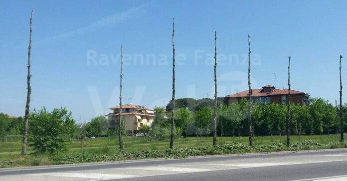 2018_04_26_18_via Galilei_ph_Claudio Calderoni