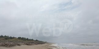 Italia Nostra. Foce Bevano: lettini a pagamento in una delle spiagge naturali più preziose d’Italia?