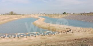 Passeggiando nella natura a Lugo e a Castel Bolognese