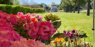 Teodorico Green Days 2024: Domenica festa dei fiori e dell’artigianato vintage al Parco Teodorico