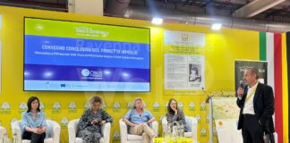 Da Brisighella a Parma: L’Innovazione dell’Olio EVO Emiliano-Romagnolo