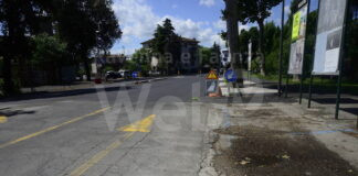 Lista Lugo Civica e Lista I Comunisti: “Viale Masi esempio di gestione errata”